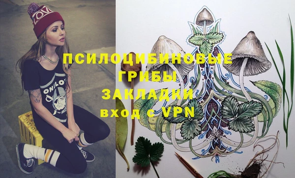 Альфа ПВП Абаза