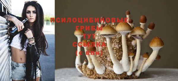 Альфа ПВП Абаза