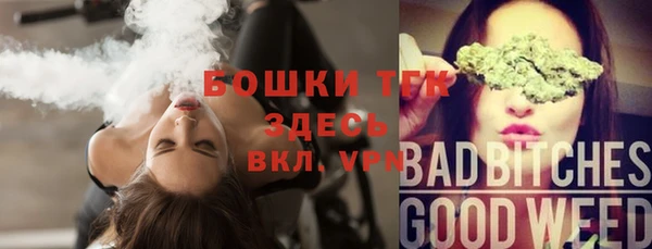 сатива Абинск
