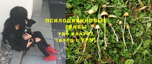 Альфа ПВП Абаза