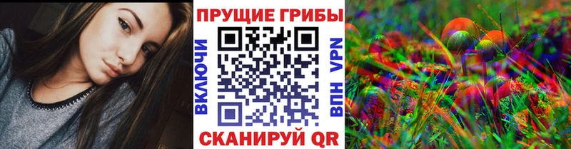 купить наркоту  Бабушкин  Галлюциногенные грибы MAGIC MUSHROOMS 